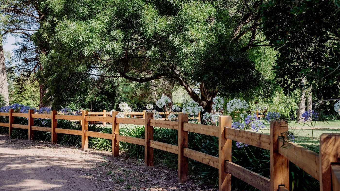 Timber post-and-rail boundary fence